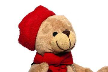 teddy bear on a white background