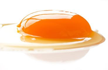 Egg yolk on a white background.