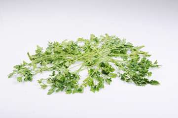 Parsley isolated on the white background