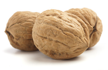 walnut