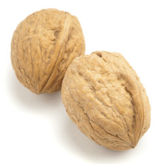 walnut
