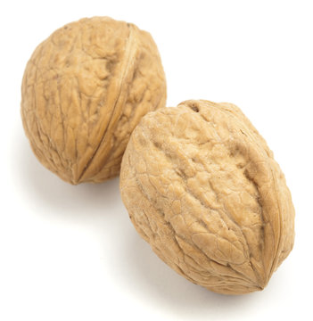 walnut