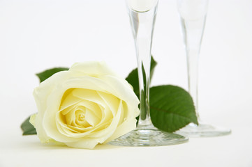 Rose mit Sektgläser