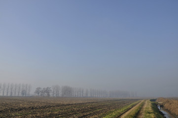 Fototapeta na wymiar empty country and dissolving fog
