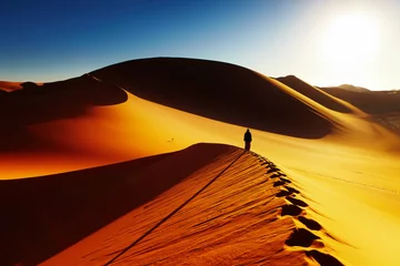 Printed kitchen splashbacks Drought Sahara Desert, Algeria
