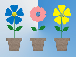 Colorful flowers in pots on blue background