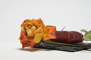 rose