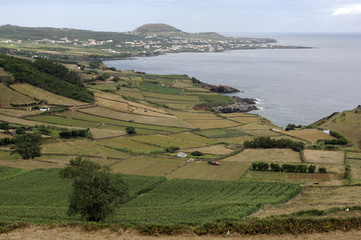 Fototapeta na wymiar Landschaft bei Sao Sebastiao - Terceira