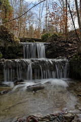 Fototapeta premium IMG_7653