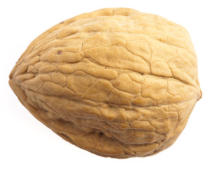 walnut