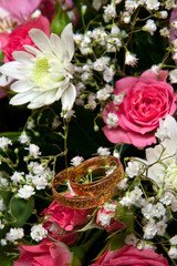 Gold wedding rings on colors