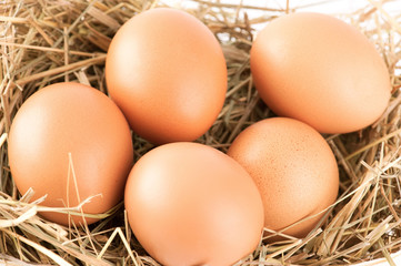 Macro shoot of brown eggs at hay. Shallow depth of field