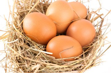 Macro shoot of brown eggs at hay. Shallow depth of field