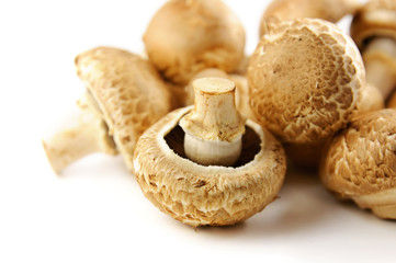 champignons on white background