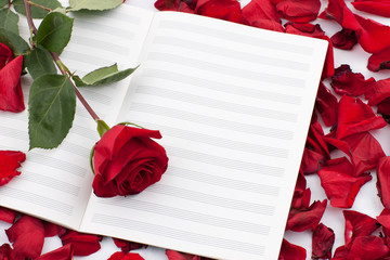 red rose on the note sheet surrounded by petals