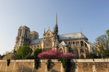 Plakat Katedra notredame, Paryż