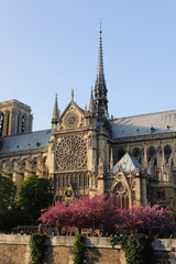 Obraz premium Notredame Cathedral, Paris