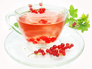 fruit tea with red currant extract