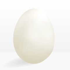 Egg