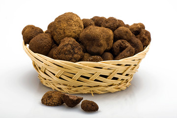 tartufi appena raccolti