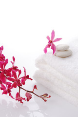 red orchid with towel