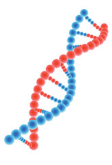 DNA model on white background