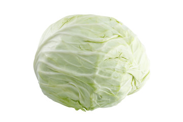 cabbage