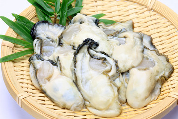 oyster