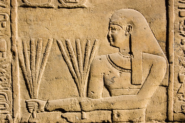 Ancient Egyptian Priest with Wheat