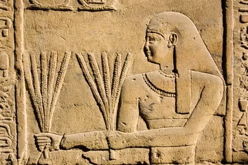 Fotobehang Egypte Oude Egyptische priester met tarwe