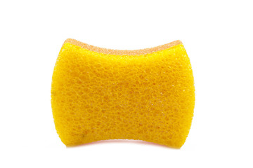 Sponge