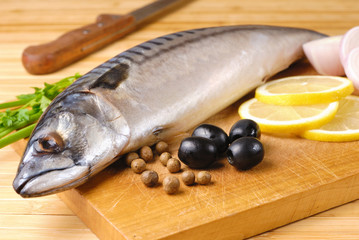 Mackerel