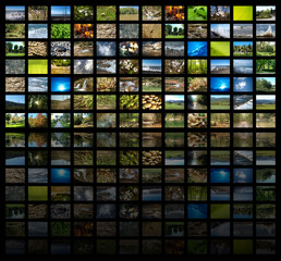 Видео экран с изображением дикой природы