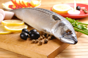 Mackerel
