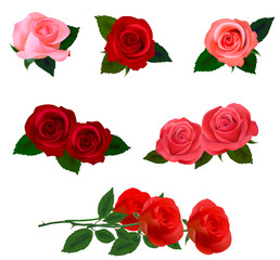 Obraz premium Big set of a beautiful colored roses. Vector illustration.