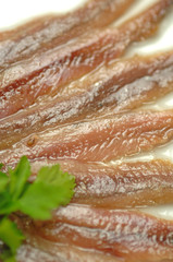Anchovy fillets - Filetti di acciughe