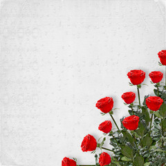 Card for congratulation or invitation with red roses
