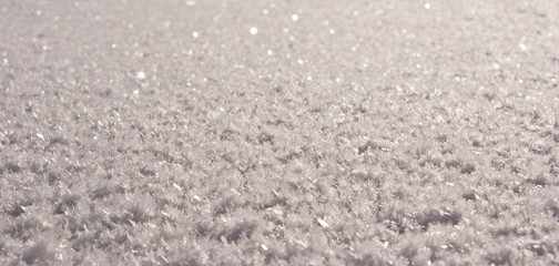 Fresh frozen snow layer for your background