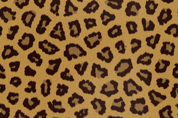 Leopard fur
