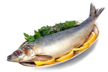 herring