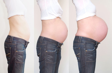 Etappen der Schwangerschaft