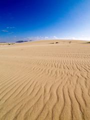 Dunes of Corralejo, Fuerteventura