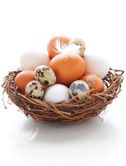 Eggs in a  nest on a white background