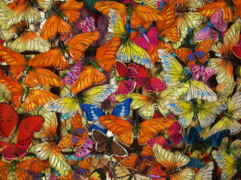 Butterfly background