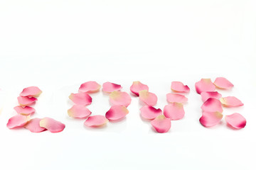 'love' written with rose-petals