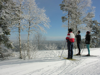 Skilanglauf in Schweden