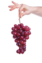 grapes in hand