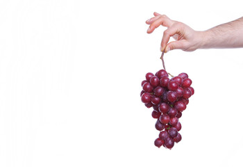 grapes in hand