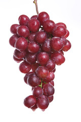 grapes