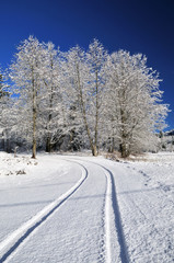 Countryside road with winter snow